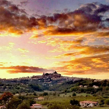 La Baronessa